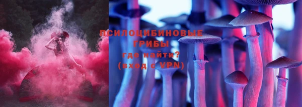 ПСИЛОЦИБИНОВЫЕ ГРИБЫ Медвежьегорск