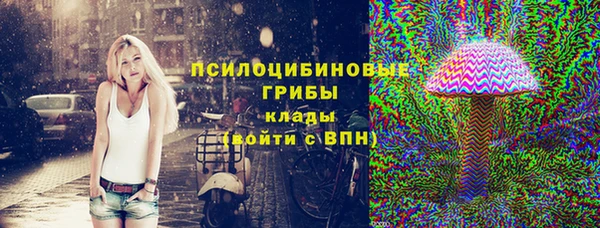 ПСИЛОЦИБИНОВЫЕ ГРИБЫ Медвежьегорск