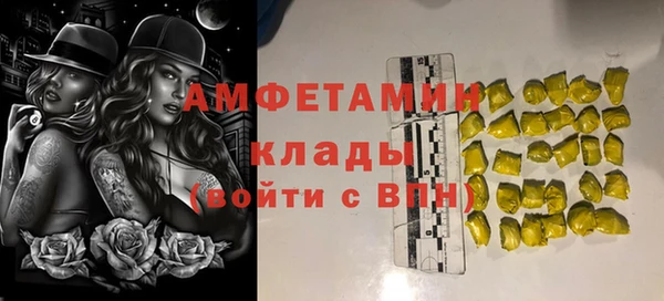 ПСИЛОЦИБИНОВЫЕ ГРИБЫ Медвежьегорск
